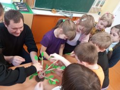 Неделя психологии в Вадинском районе